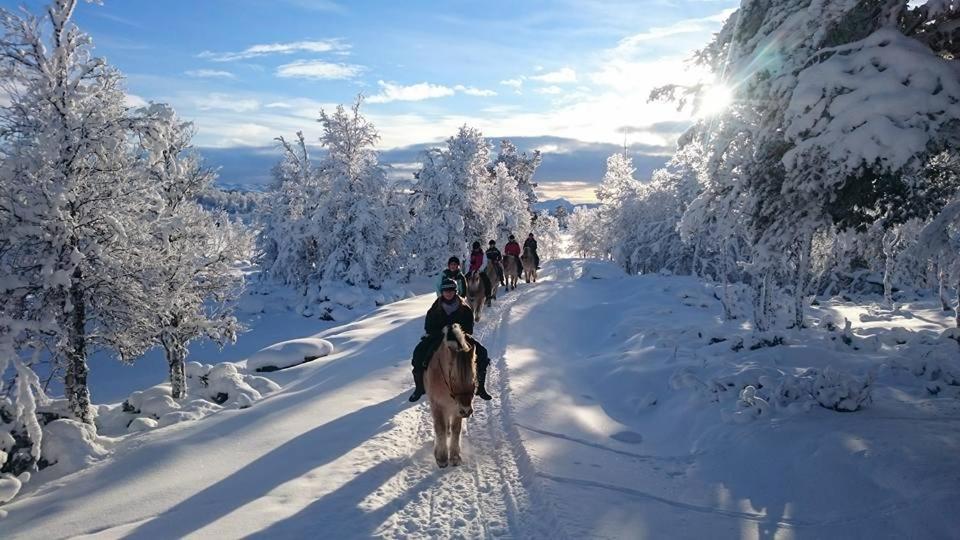 Langedrag Naturpark Tunhovd Buitenkant foto